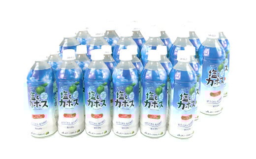 大分県 かぼす飲料 ｢塩とカボス｣ 495ml 24本