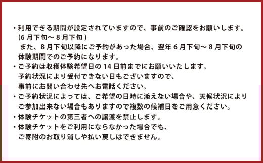 【1組5名まで】 ～自然豊かな久住高原で育ったブルーベリーの収穫体験～ 収穫ブルーベリーのお土産付き！ 【体験期間：毎年6月下旬～8月下旬】