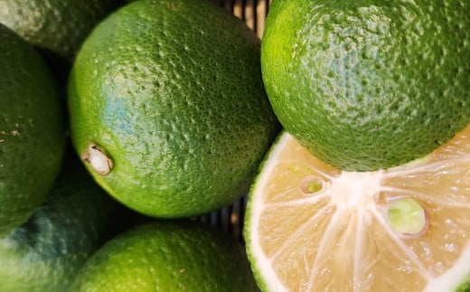 ノンアルコール 酔わないかぼすハイボール 340ml×24本（1ケース） JAフーズおおいた