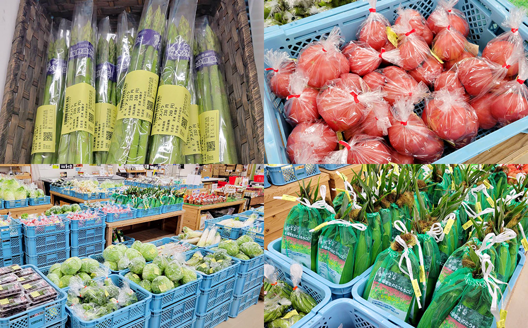 その時期の一番美味しいをお届け！ 竹田育ちの 「野菜詰め合わせセット」 A
