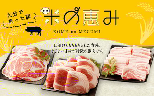 大分県産ブランド豚「米の恵み」豚肉5種 盛り合わせ 計3.4kg 豚肉