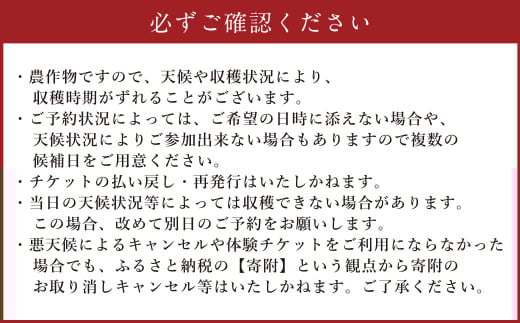 【体験期間毎年7月上旬～8月上旬限定】竹田市菅生のスイートコーン！その場でガブリ！収穫体験～お1人様5本持ち帰れる！～（1チケット15名様チケット）