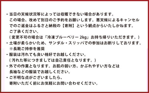 【1組5名まで】 ～自然豊かな久住高原で育ったブルーベリーの収穫体験～ 収穫ブルーベリーのお土産付き！ 【体験期間：毎年6月下旬～8月下旬】