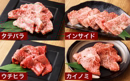【3ヶ月定期便】おおいた和牛 希少部位4種焼肉セット 約1.6kg（約800g×2箱）×3回 計約4.8kg