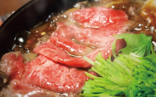 正統派黒毛和牛 おおいた豊後牛 切り落とし 500g 小分け