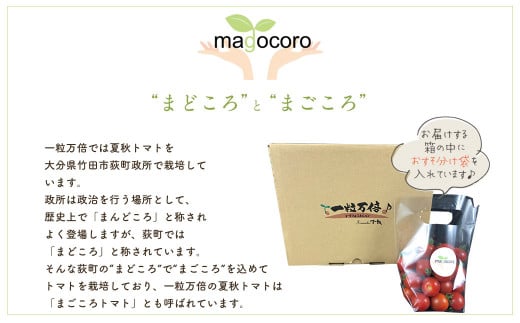 まごころ ミニトマト の宝石箱 1.7kg(約80～110玉)×3箱 計5.1kg サンチェリーピュア トマト【2026年7月上旬から11月下旬まで発送予定】