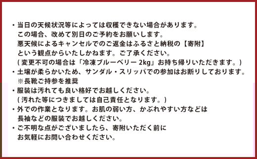 【1組5名まで】 ～自然豊かな久住高原で育った野菜の収穫体験～ 収穫お野菜のお土産付き！ 【体験期間：毎年7月下旬～9月下旬】