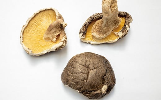 大分県産 旨味椎茸未選別 お徳用 450g（90g×5袋）（乾しいたけ）