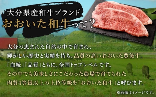 大分県産 豊後牛 サーロインステーキ 200g×2枚 計400g おおいた和牛（4等級以上）