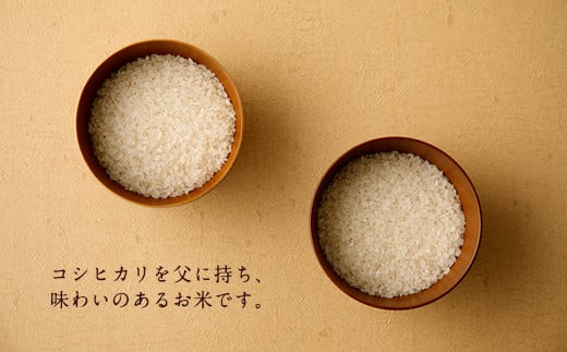 【3ヶ月定期便】 大分県産ヒノヒカリ 5kg 計15kg 【2025年11月上旬発送開始】