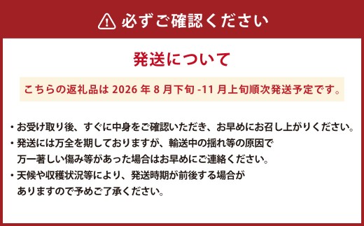 【数量限定】粒パック 訳あり シャインマスカット（約500g）&ナガノパープル（約500g） 計約1kg （各1パック）【2026年8月下旬-11月上旬発送開始予定】