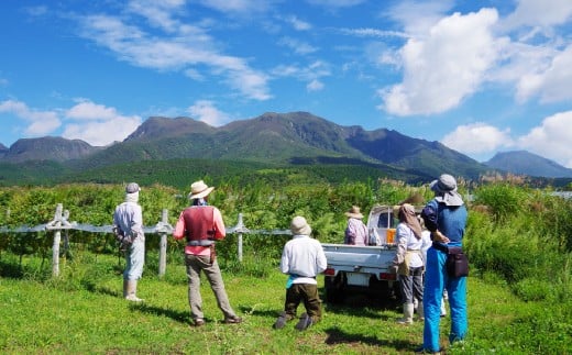 久住ワイナリーの久住高原育ち赤・ロゼ 720ml×2本セット