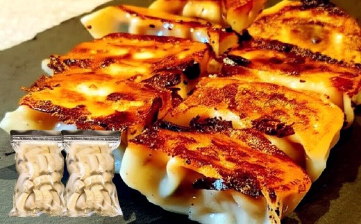 【3ヶ月定期便】 自家製野菜を使った中華料理屋さんの手作り点心セット 3種 餃子・水餃子・焼売 1回あたり計6袋 （各2袋） 計114個