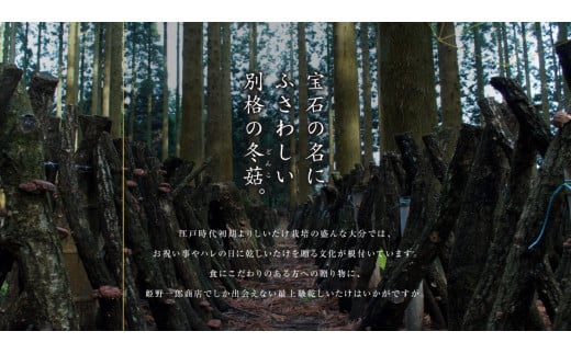 山の宝石 上どんこ 約60g 10g×6袋