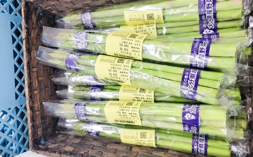 その時期の一番美味しいをお届け！ 竹田育ちの 「野菜詰め合わせセット」 B