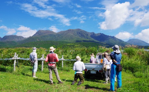 久住ロゼ CatWalk 720ml 1本 ロゼワイン