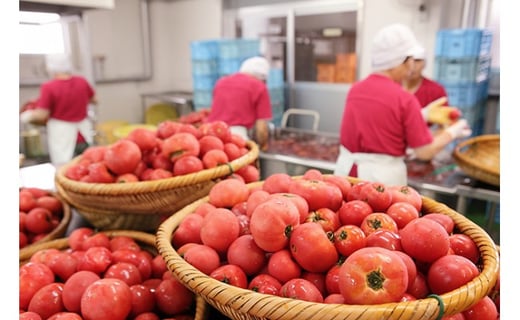 完熟トマトケチャップと焼肉のたれ 計9本セット トマト タレ 詰め合わせ
