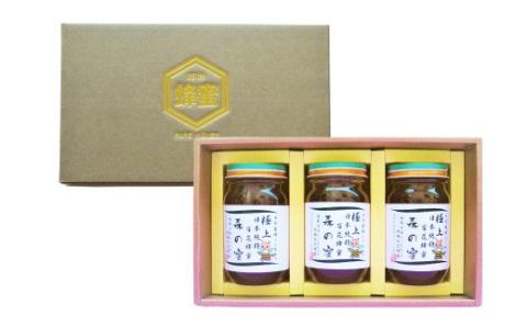 【国産はちみつ】 日本純粋百花蜂蜜 「森の蜜」 300g×3本 計900g 化粧箱入り