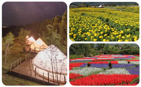 【くじゅう花公園グランピング】花と星 宿泊 補助券 30,000円分