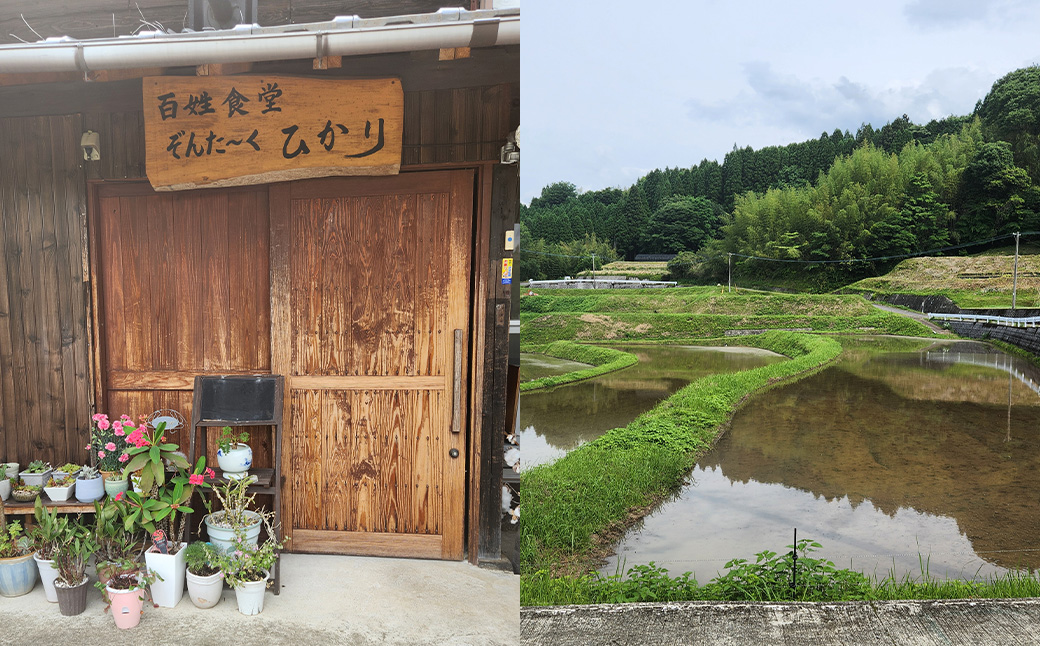 名店の味！ チキン南蛮2.5人前 ぞんた～くひかり 1パック 約400g