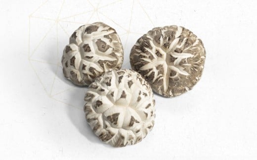 山の宝石 花どんこ 乾しいたけ（約60g［約10g×6個］）FHH28