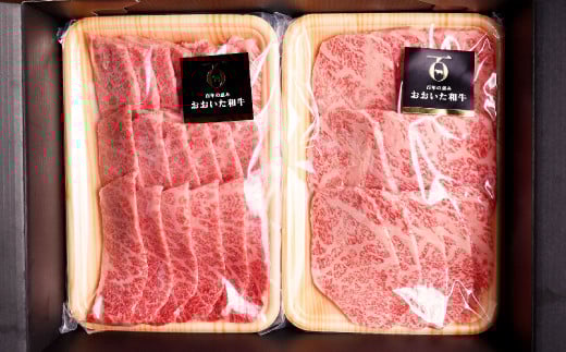 おおいた和牛 焼肉 にピッタリ！ 牛肉 の 食べ比べ セットA（ 上カルビ & 上ロース）（合計約 600g ）3～4人前