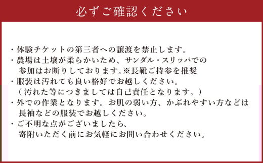 【体験期間毎年7月上旬～8月上旬限定】竹田市菅生のスイートコーン！その場でガブリ！収穫体験～お1人様5本持ち帰れる！～（1チケット15名様チケット）