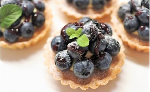 大分県久住高原産 『手摘みブルーベリー』 冷凍ブルーベリー 1kg 【2025年7月下旬より順次発送開始予定】