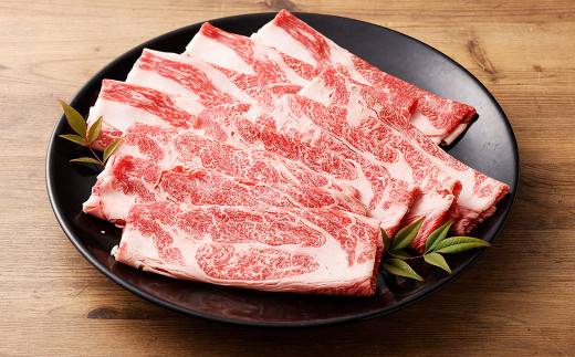 【6ヶ月定期便】おおいた和牛すき焼き用 2種 約600g（クラシタロース・ブリスケスライス）×6回 計約3.6kg