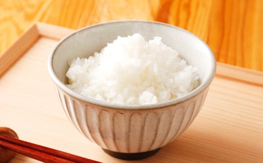 令和7年産 竹田銘水美人色選米 白丹産特別栽培米 ひとめぼれ 10kg