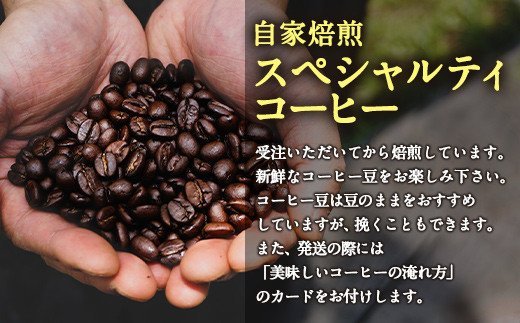 ERDEーエアデー 温泉染めカップ 自家焙煎スペシャルティコーヒーセット