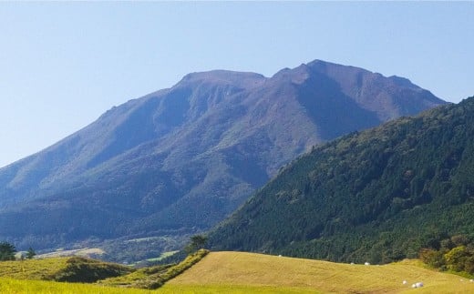 竹田銘水美人色選米（ 普通慣行米 ）約5kg × 2袋 計約10kg