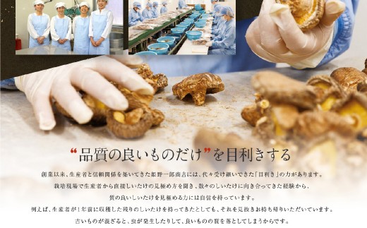 老舗椎茸専門店の逸品 詰合せ【B】 7点