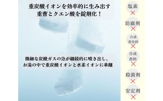 【12ヵ月定期便】【薬用 入浴剤】長湯ホットタブ Classic 90錠入