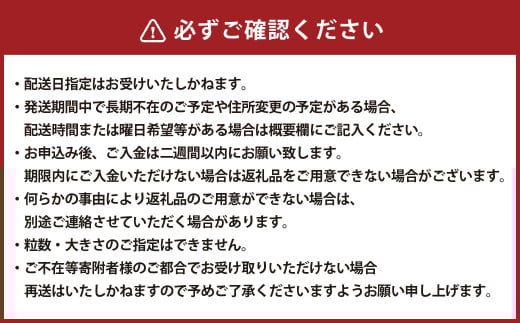 【数量限定】粒パック 訳あり シャインマスカット（約500g）&ナガノパープル（約500g） 計約1kg （各1パック）【2026年8月下旬-11月上旬発送開始予定】
