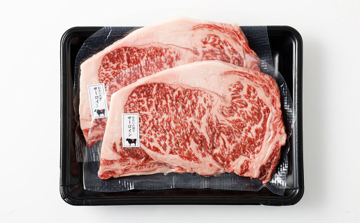 片桐さんの「おおいた和牛」サーロインステーキ 計約400g（約200g×2枚）