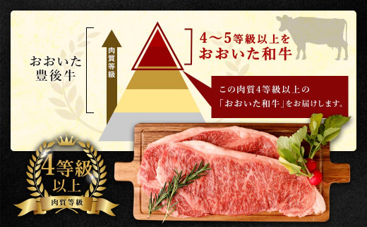 大分県産 豊後牛 サーロインステーキ 200g×2枚 計400g おおいた和牛（4等級以上）