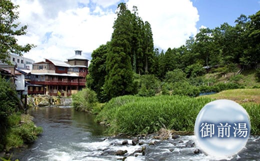 硬水 ミネラルウォーター マグナ300-500ml (24本セット) 水 飲料 長湯温泉水 竹田湧水