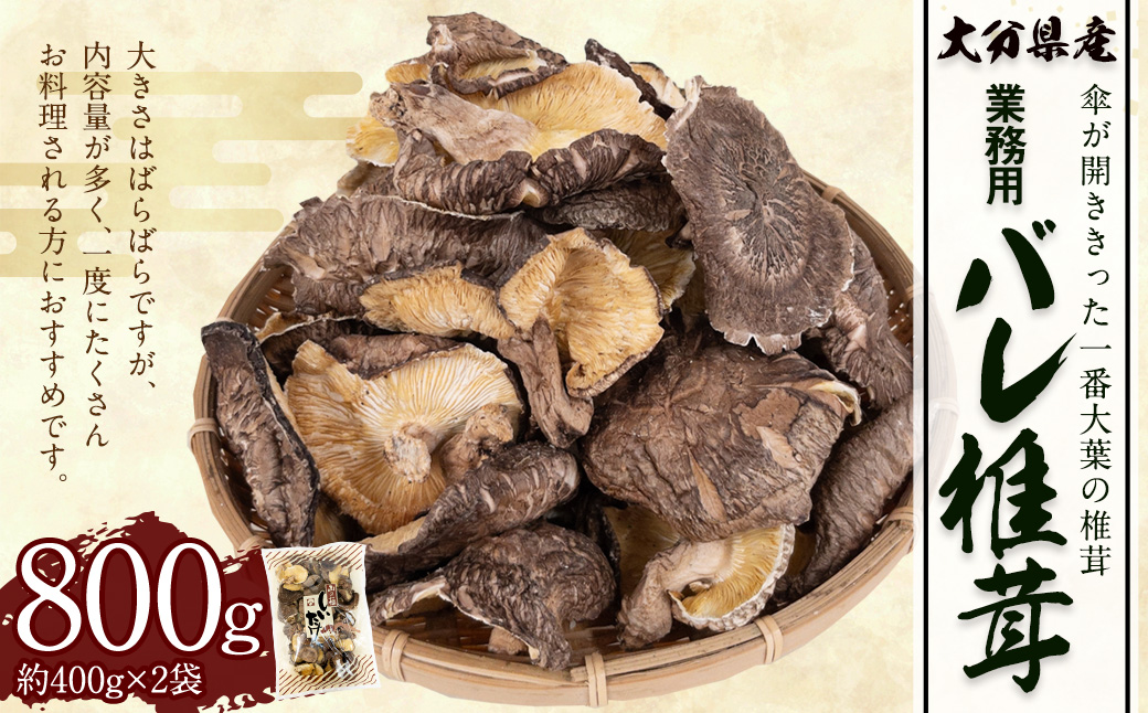 大分県産 原木栽培 乾しいたけ 業務用 バレ椎茸 お徳用 約800g （約400g×2袋） FBR26