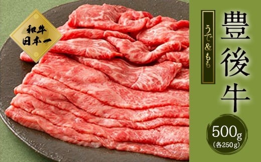 大分県竹田市産 おおいた和牛 うで・もも すき焼き用 【500g】