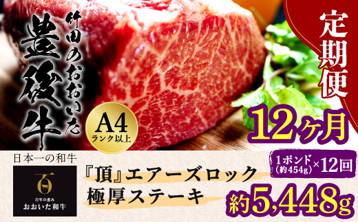 【定期便12回】日本一の和牛 おおいた豊後牛 1ポンド エアーズロック 極厚ステーキ 約454g×12回 計12ポンド （約5448g）