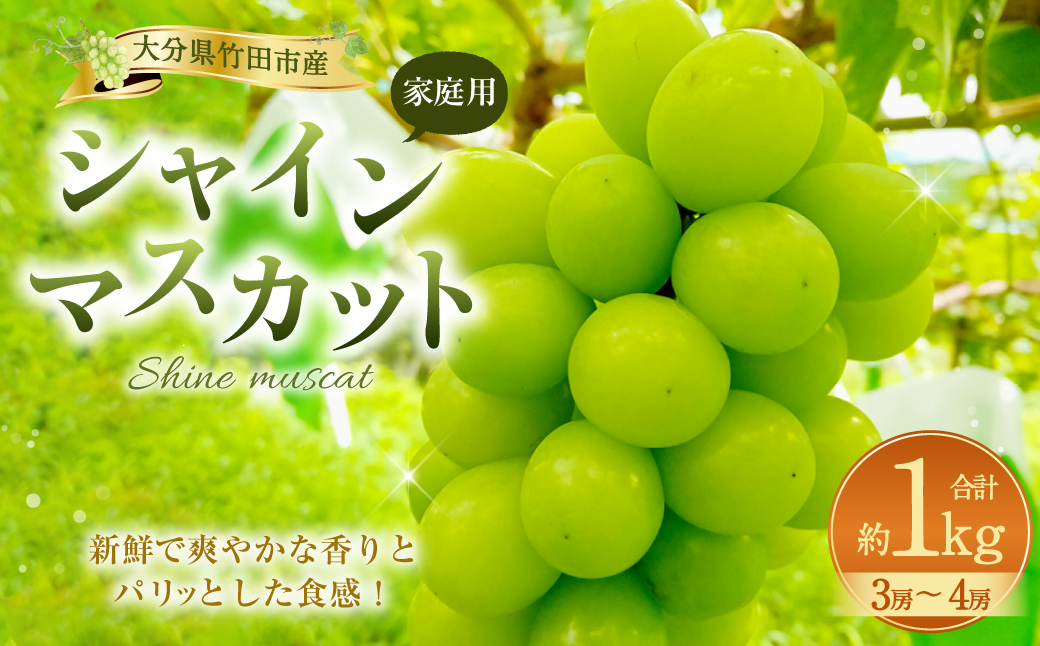 ご家庭用シャインマスカット 約1kg 3～4房【数量限定】【2024年9月上旬～11月上旬発送予定】: 竹田市ANAのふるさと納税