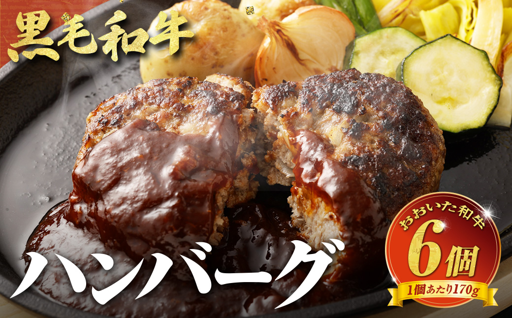 【黒毛和牛】おおいた和牛ハンバーグ 計約1.02kg（約170g×6個）
