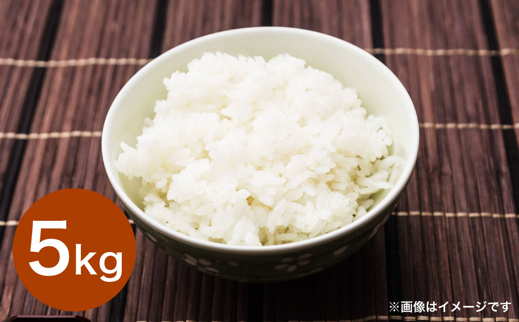 令和6年産大分県産米 精米5kg【2025年6月上旬より順次発送】