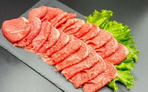 【6カ月定期便】 【赤身づくし！】 おおいた和牛 赤身焼肉 ・ 赤身スライス ・ 赤身ステーキ 約1.2kg×6回 計約7.2kg