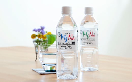 硬水ミネラルウォーター マグナ300 500ml（24本セット） ＆ 硬水ミネラルウォーター マグナ1800 500ml（24本セット） 飲み比べセット 計2箱（24本×各1箱）
