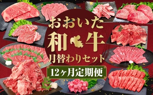 【12ヶ月定期便】毎月替わるおおいた和牛セット！12ヶ月おおいた和牛月替わり 計約4.8kg