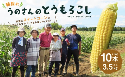 【卯野農場】産地直送！生でも美味しい 朝採れ スイートコーン 10本 3.5kg以上 とうもろこし コーン 【2026年7月上旬-8月下旬発送予定】