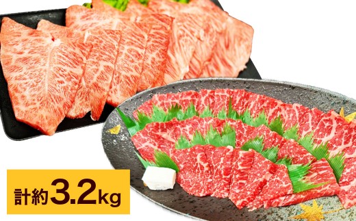 【赤身 VS ミスジ 食べ比べ！】 おおいた和牛 赤身焼肉 ・ ミスジ焼肉 各約1.6kg（約400g×4） 計約3.2kg