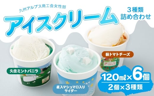 九州アルプス商工会女性部アイスクリーム 計6個入（各種2個入） 久住ミントバニラ 直入マシュマロ入りサイダー 荻トマトチーズ